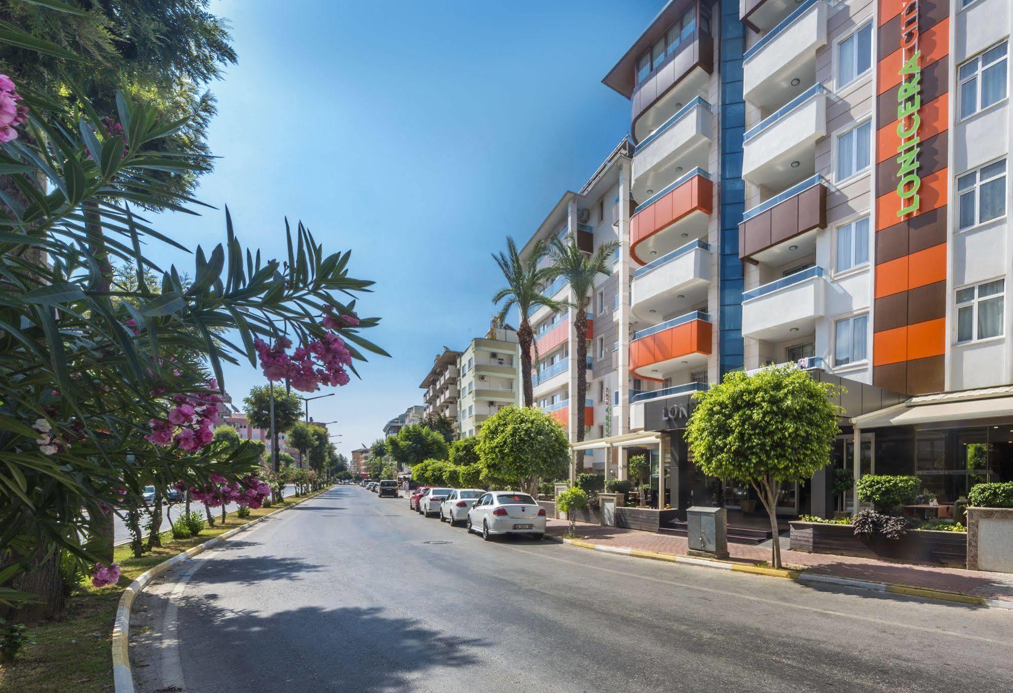 Lonicera Otel 3*